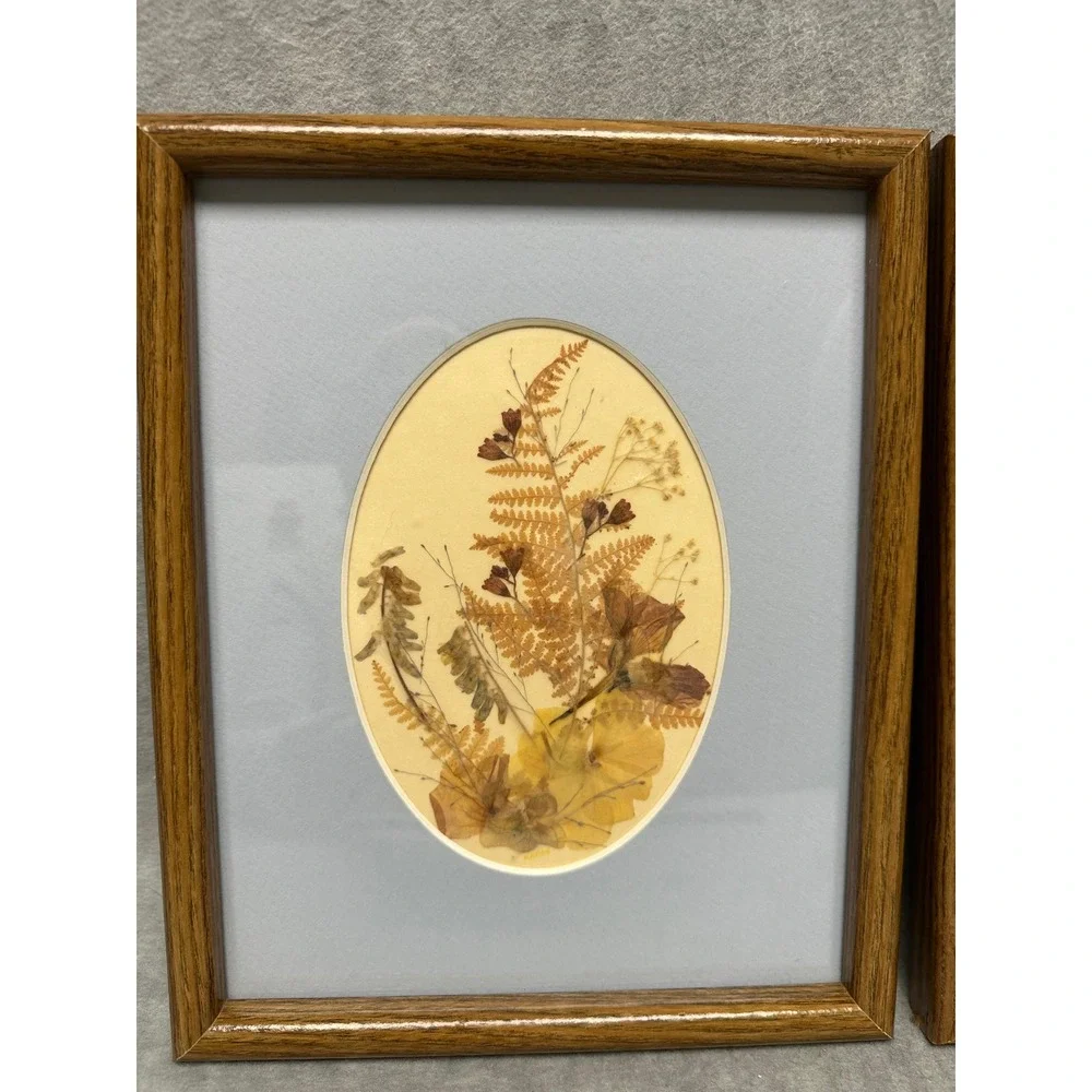 VTG Set of 2 Framed Dried Pressed Fern Flowers Botanical‎ Art Oval Cottagecore
